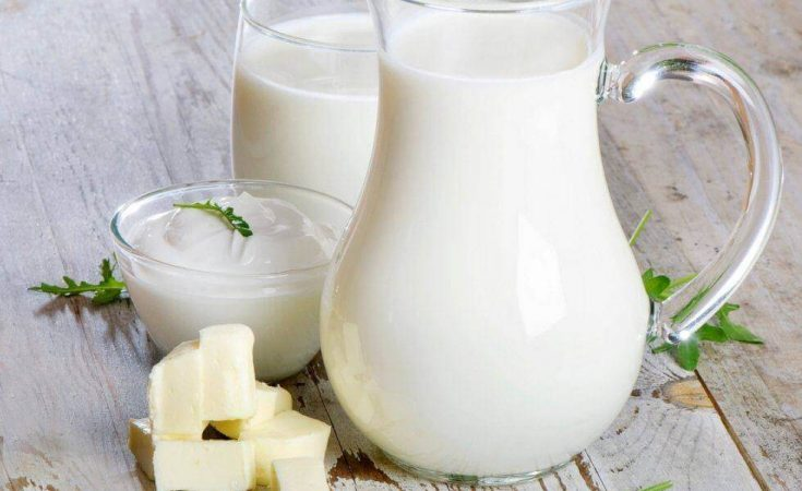 Sữa và các sản phẩm từ sữa giúp cắt cơn thèm thuốc lá tạm thời